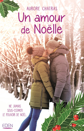 Couv Un amour de Noëlle