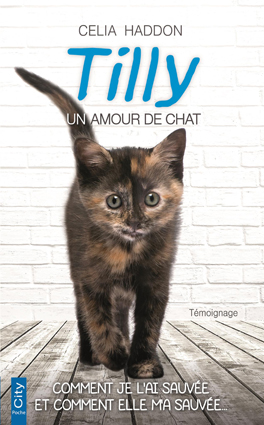 Couv Tilly, un amour de chat